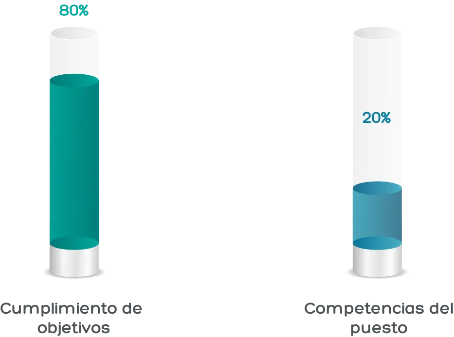 ¿Cómo se conforma?